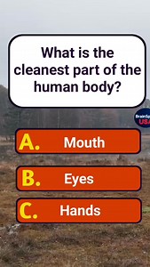 Cleanest part of human body #quiztime #trivia #didyouknow #learnsomethingnew #usaquiz #usareels #fblifestyle #dailyfacts | BrainSpark USA