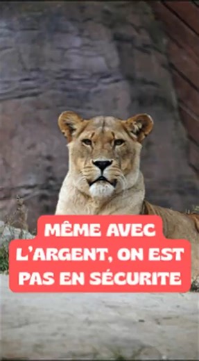 MÊME AVEC L'ARGENT, ON EST PAS EN SÉCURITÉ #citation #prendresaplace #duo #motivation