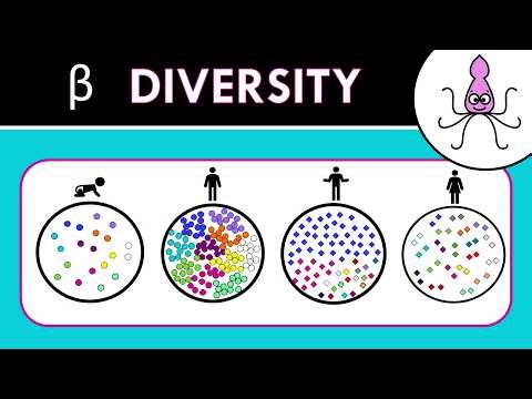 Beta diversity: Jaccard, Bray-Curtis, NMDS, PCoA and PERMANOVA