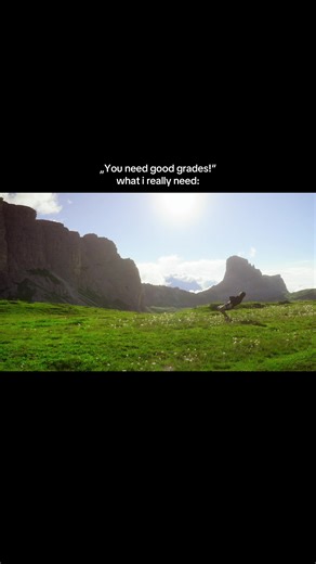 Chasing freedom in a world full of stress🌻🫂 #cinematic #filmmaking #travel #freedom