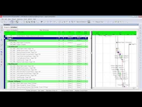 Primavera P6: Format Columns