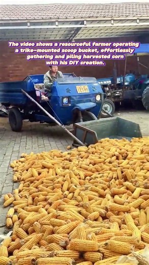 Corn Scoop Revolution: The Farmer's Ingenious Mini Loader Hack!