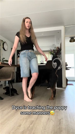 “Stop hurting mom” #rottweiler #dogs #puppy #pets
