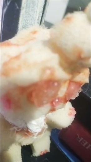 bonecos cartoons #animation