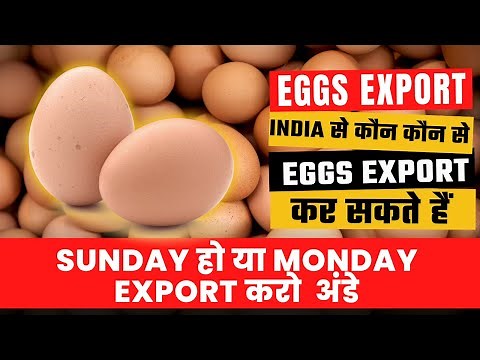 How to Export EGG from India | Benefits Of EGG Export | Live EGG Export #exportimport #eggs