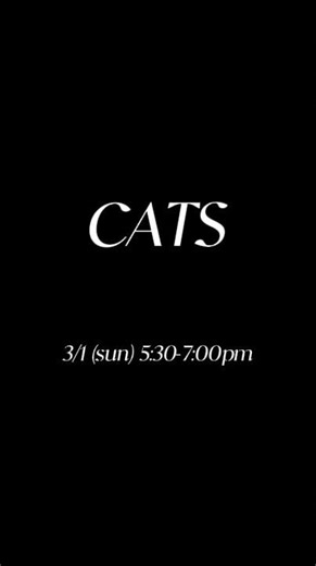 3/1(日)【CATS】AIUミュージカルシアター #ミュージカル #catsmusical