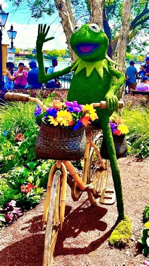 Kermit and Miss Piggy Topiaries at Epcot International Flower and Garden Festival #muppets