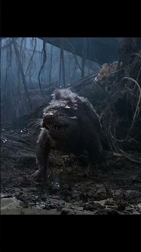 The Princess Bride (1987) | She Falls Into Quicksand! 😱🏰✨