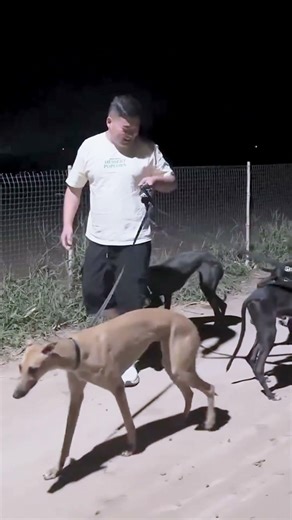 Limited Partner, Dog's Hope& 18