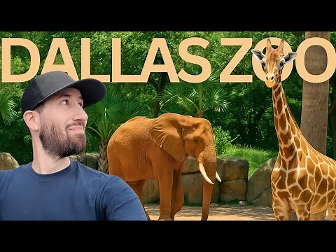 Exploring Dallas Zoo, One of America’s Top Rated?!