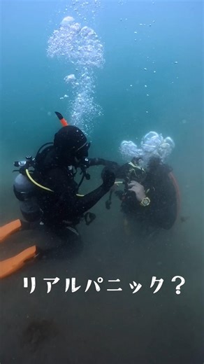 パニックダイバーに出会ったらどうする？近づき方ひとつで、状況は大きく変わる。まずは自分の安全、そして落ち着いて対応！#ダイビング #レスキュー #パニックダイバー #ダイビング講習 #水中トラブル