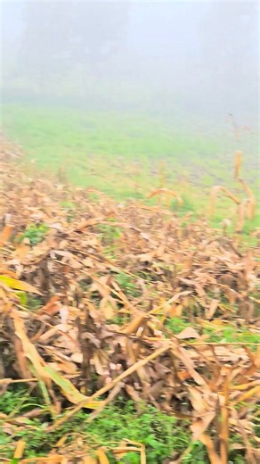 Hon Joyce Korir Bomet on Reels