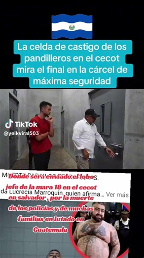 El Lobo de la Mara 18: Traslado y Aislamiento en el Cecot