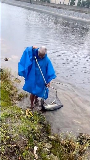 HOMELESS GUY Grabs MASSIVE FISH on the HIGHWAY! #Shorts