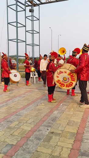 Horse Entry in Wedding #horsevideo | Indian Animals And Birds