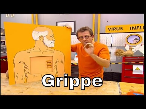 Comment le vaccin contre la grippe fonctionne-t-il ? - C'est Pas Sorcier