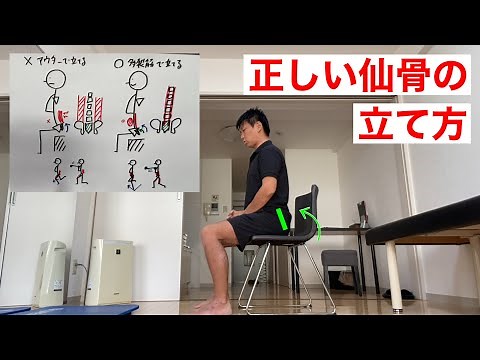 正しい仙骨の立て方