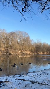 2 piece #labrador #duckhunting #ducks #duck #mallard | Kade Keller