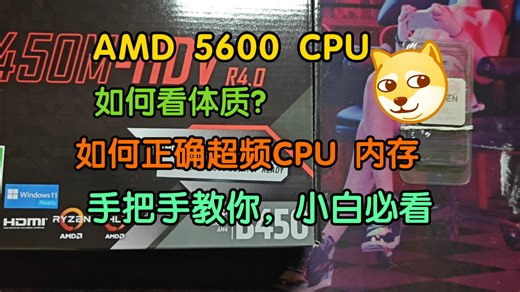 AMD5600 cpu如何看体质，超频cpu内存，手把手教你，小白必看。