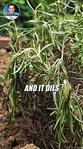 1.4M views · 8.8K reactions | Doctor Mike on Reels | Facebook