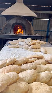 Nonna making the bread is satisfying to watch 🫶🫶 Recipe to a conventional oven at home is in my new cookbook! Currently sold out.. Head to Cqpasta.com, click on the cookbook and click “notify me when available” stock will be back next month! 💌 #nonna #forno #pane #italia #calabria | CQ Pasta