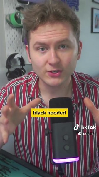 Protect Yourself Online with Guardio in 2025