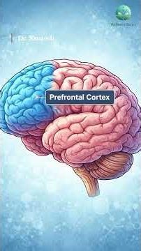 Why You Lack Confidence (It’s Not What You Think)