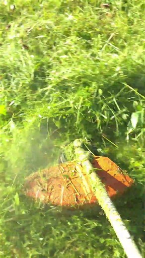 Garden Trimming 🌱 Stihl FS 120 | ASMR Shorts