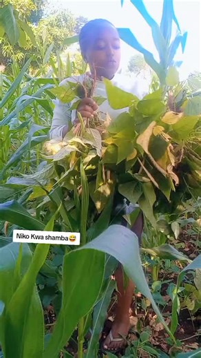 Exploring Life on the Farm with Meru Comedy