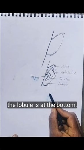 Ear Sketch Tutorial #art