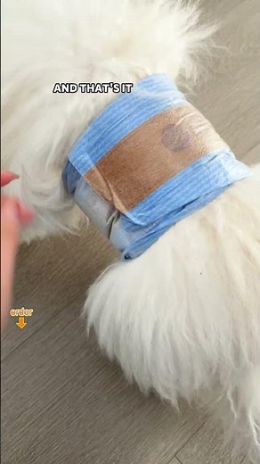 How long does it take to train a dog to stop marking indoors?