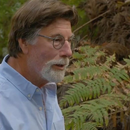 The Curse Of Oak Island | S13 E24 Preview [2026] [SHORT] #oakisland