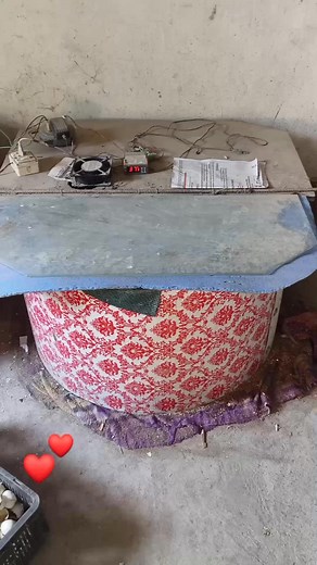 182K views · 1.6K reactions | Locally incubation method. | Livestock Farmer | Facebook