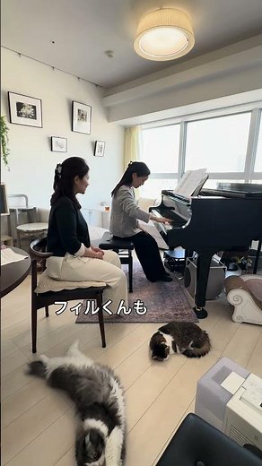 「エリーゼのために」の難しい部分！大人のピアノ初心者(再開：3ヶ月)🔰レッスン