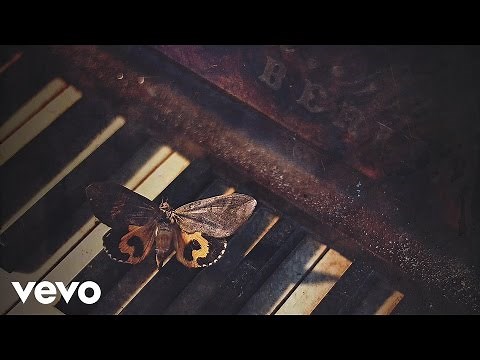 AURORA - Black Water Lilies