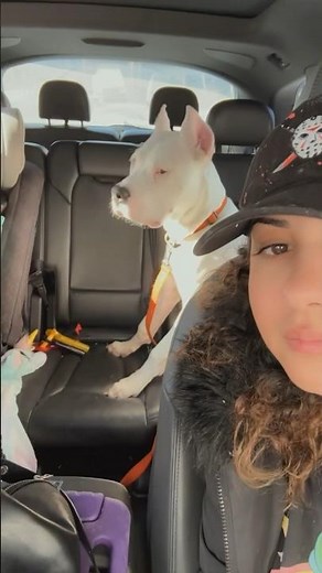 Loudest nose whistle - 44.1 decibels by LuLu Lotus 😤