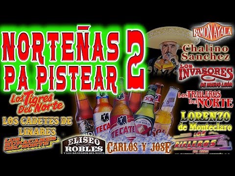 Norteñas Matonas Pa Pistear/ Mix de Borrachos y Adoloridos Vol.2