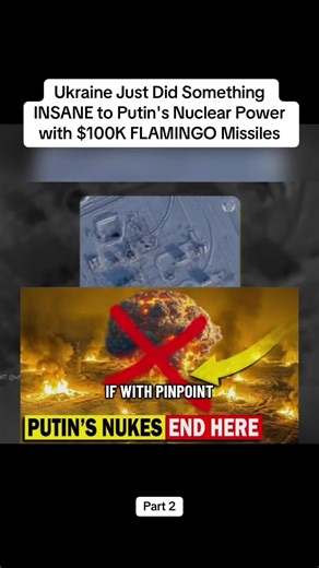 Ukraine's Bold Move Against Putin's Nuclear Power