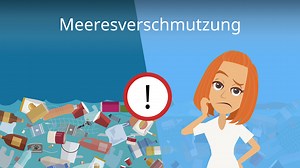 Meeresverschmutzung • Fakten & Auswirkungen