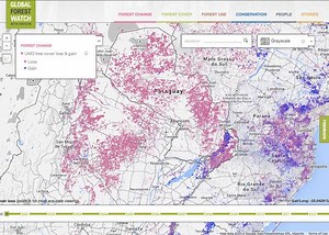 This Mapping Service Lets Us Watch Forests Shrink
