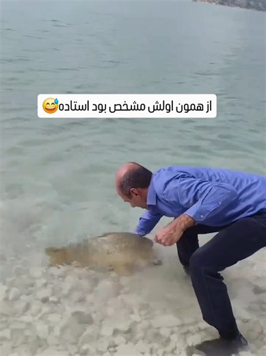 islamic Iranternational🇮🇷 (@persian_empire1)’s videos with original sound - islamic Iranternational🇮🇷