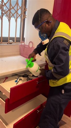 Seeing one cockroach usually means there are many more hiding out of sight. That's why professional fumigation matters.Clean space Fumigation treats every corner to stop cockroaches from spreading and returning. Whether it's a home, office, or shop, we've got you covered.#pestcontrolservices #cockroaches#fumigationservices#pe stfree#bedbugs@Dolphnom Fumigation & Cleaning @Oraan Fumigation & Cleaning