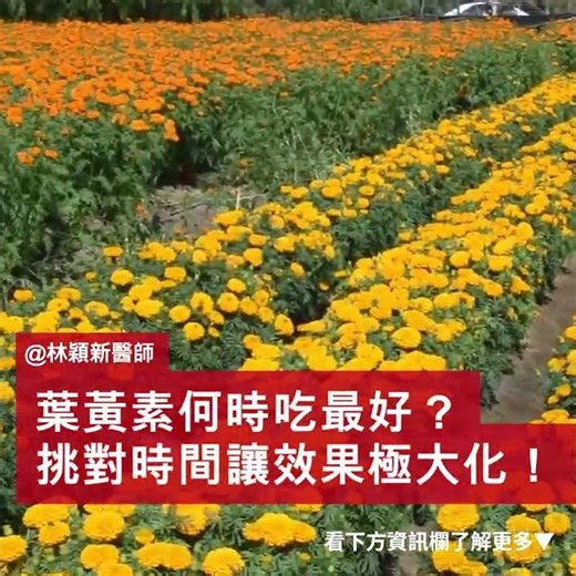 葉黃素何時吃最好？挑對時間讓效果極大化！ #林穎新醫師 #林穎新醫師 #eyes #親子受診 #熱門