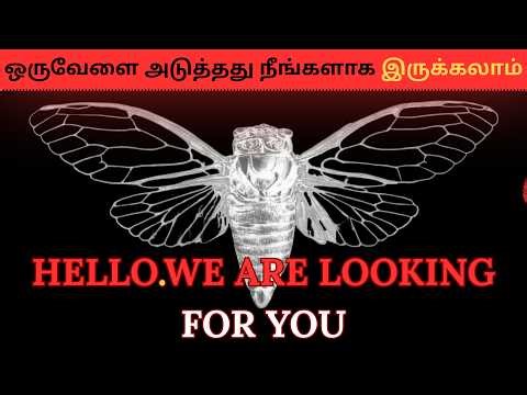 The Biggest Mystery in Internet History | Cicada 3301