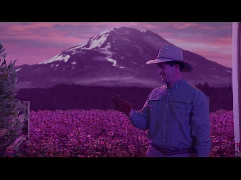 Nutrilite Traceability: 9-Step Process