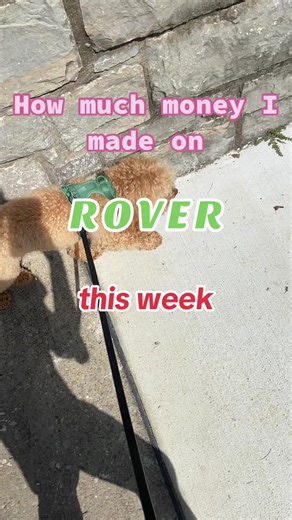 Rover Earnings Update: $1060.80 This Week!