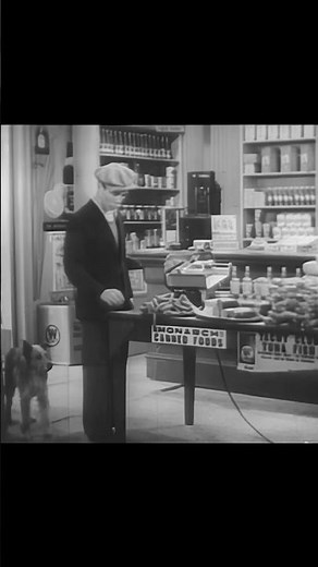 The Little Red School House (1936) PizzaFLIX🍕TEASER