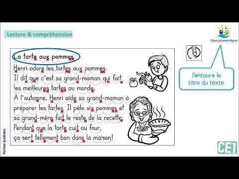 Lecture & compréhension : CE1 - CE2 / contrôle