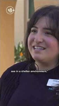 San Diego Humane Society sees surge in popular dog breeds, offers trial adoption program