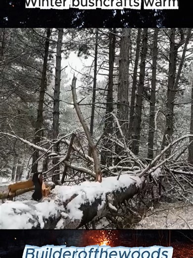 Essential Bushcraft Survival Skills for Camping Enthusiasts